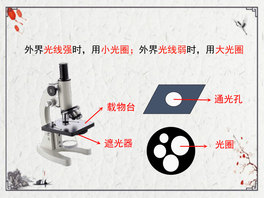 遮光器和通光孔图片