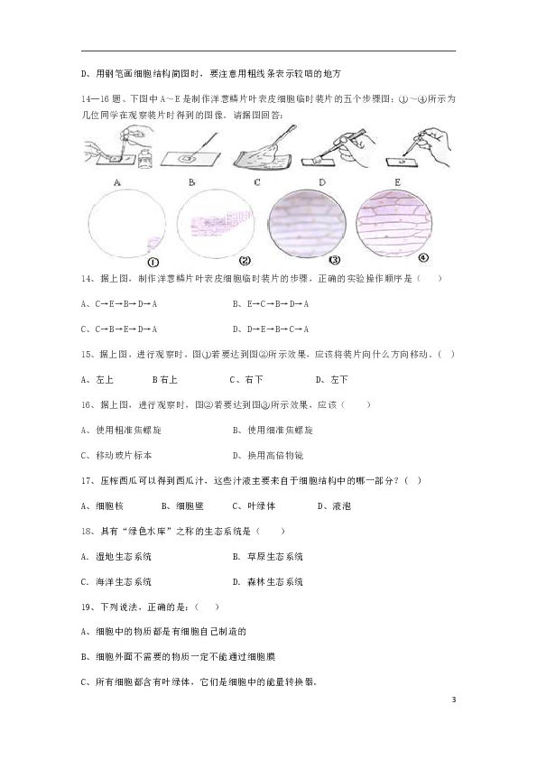 重庆市2019-2020学年七年级生物上学期期中试题含答案