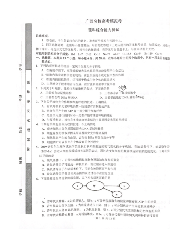 广西名校2020届高三12月高考模拟理科综合试题 PDF版