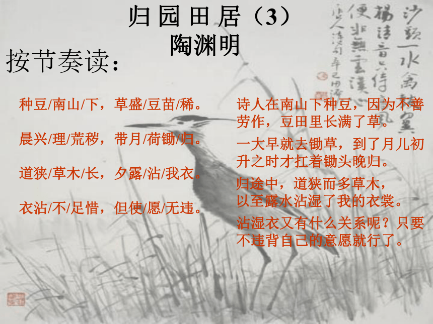 诗四首  课件