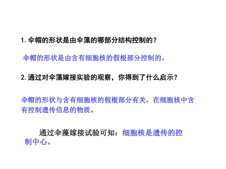 济南版八年级上册第四单元第四章第一节遗传的物质基础课件（共14张PPT）