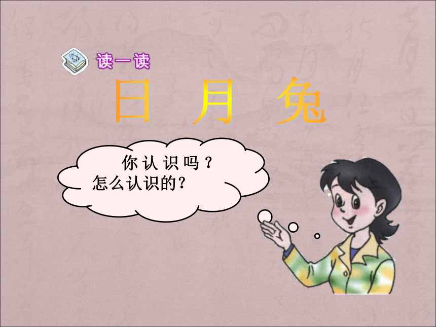 《口耳目》上课用课件 （46张PPT）