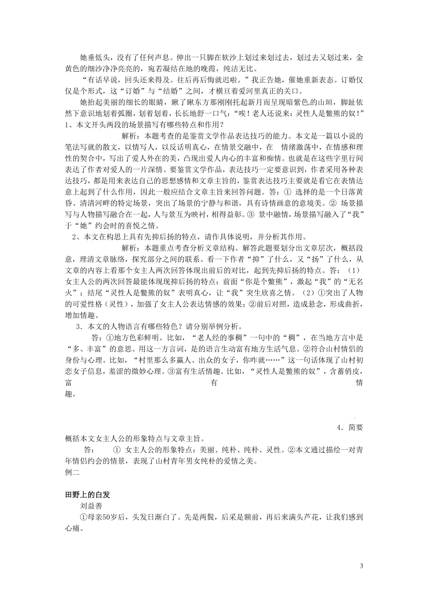 2013中考语文专题复习_小说阅读(五)_新人教版