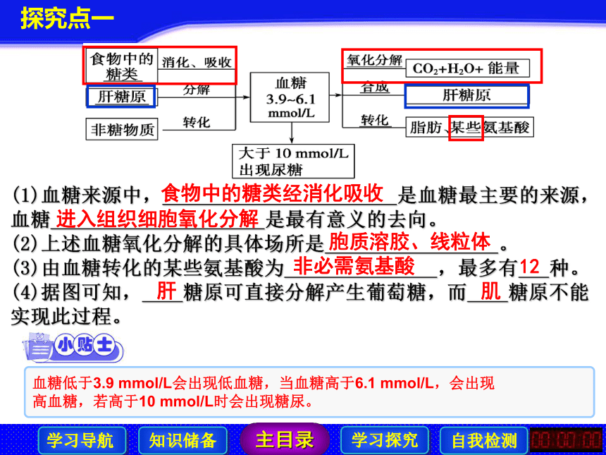 高中生物北师的版必修三第二章第1节人体的代谢与稳态之三 血糖的平衡