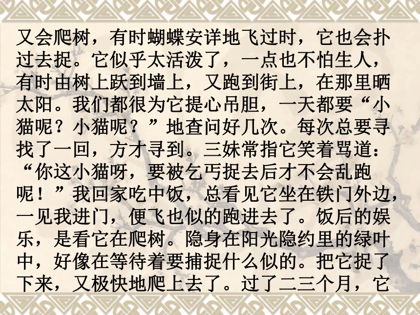 广东省2018中考语文高效作文训练课件：第五单元（详略得当，突出主题）（共103张PPT）