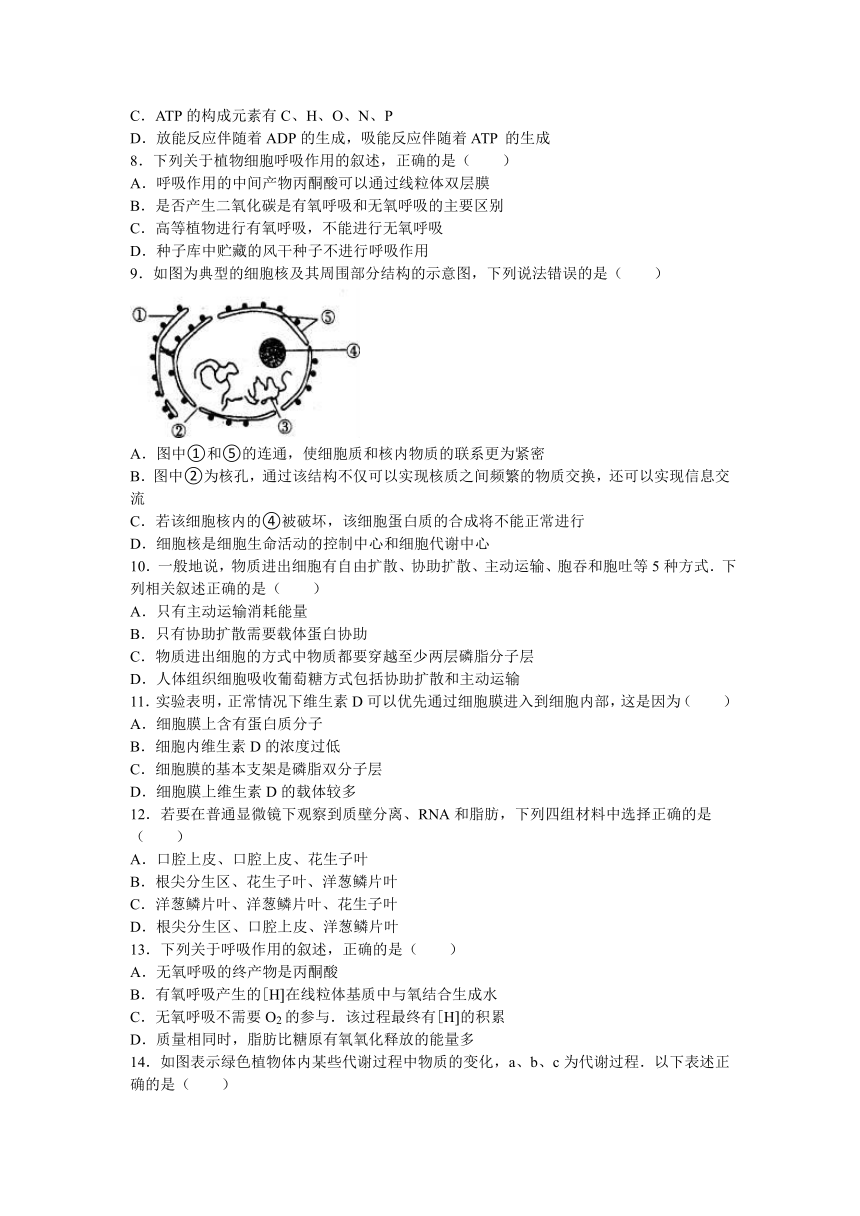 天津市北大宝坻附属实验学校2017届高三（上）第二次月考生物试卷（解析版）