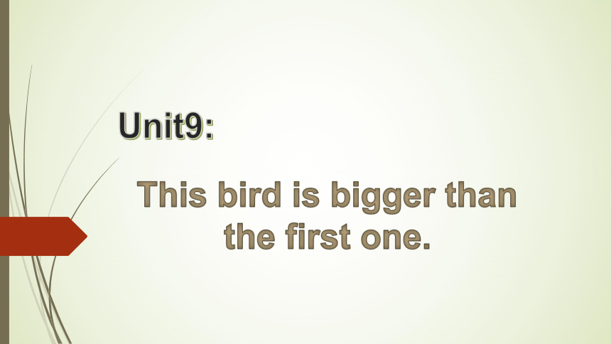Unit9 This bird is bigger than the first one 课件(共33张PPT)