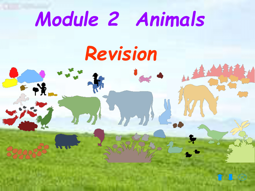 Module 2 Animals 课件