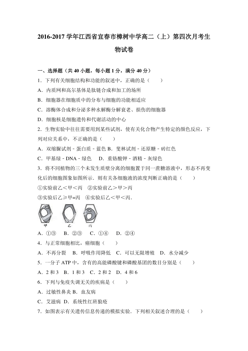 江西省宜春市樟树中学2016-2017学年高二（上）第四次月考生物试卷（解析版）