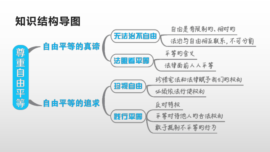 尊重自由平等思维导图图片