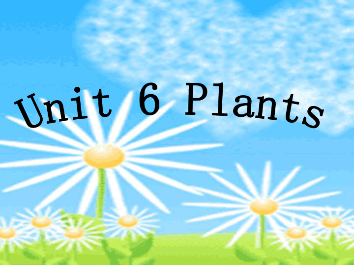 Unit 6 Plants 课件 17张PPT 无音视频