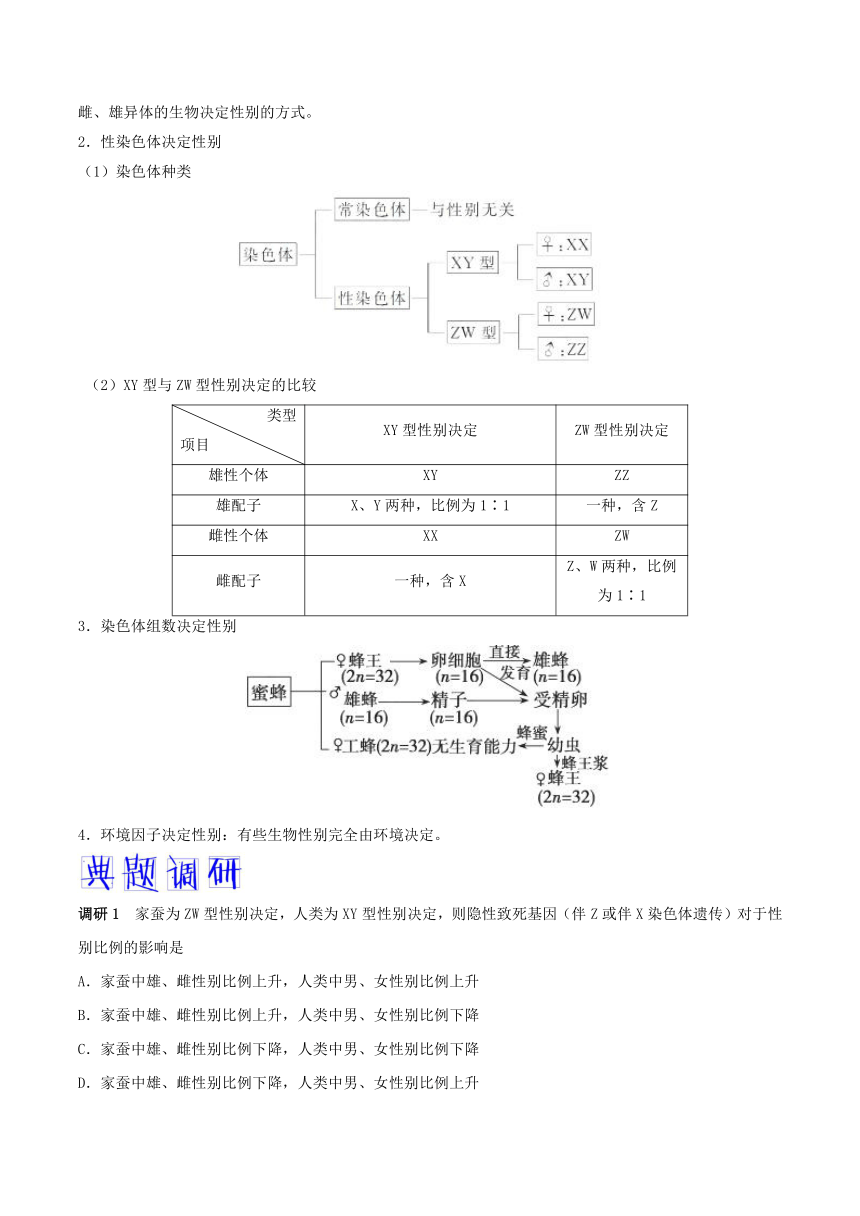 解密16伴性遗传和人类遗传病-备战2018年高考生物之高频考点解密