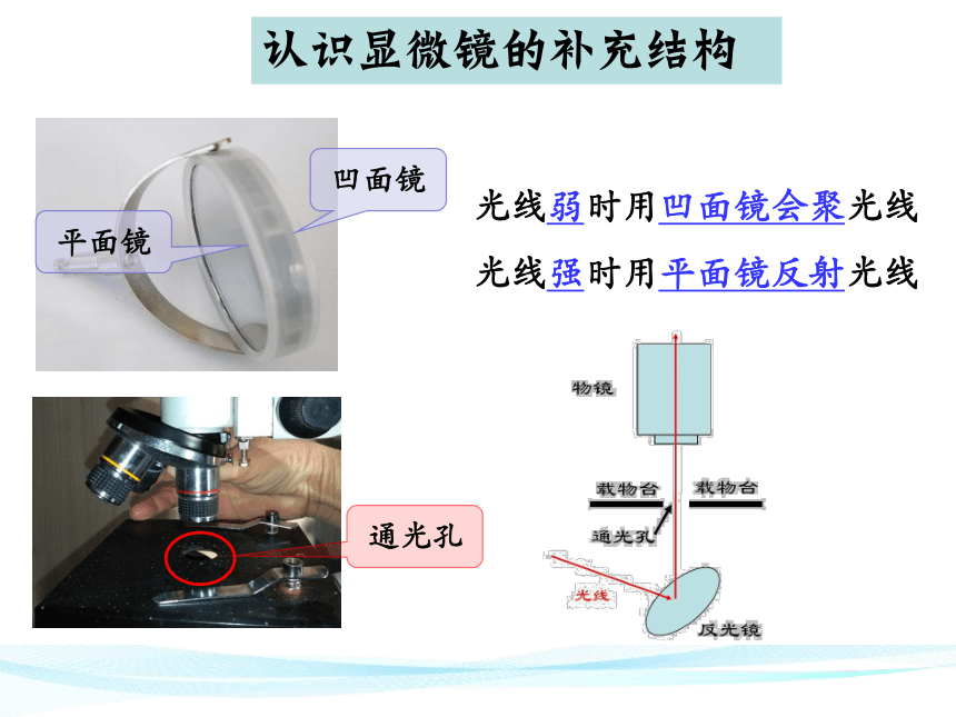 显微镜镜片凹凸顺序图片