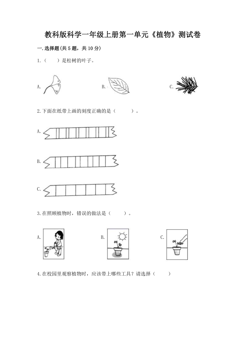 课件预览