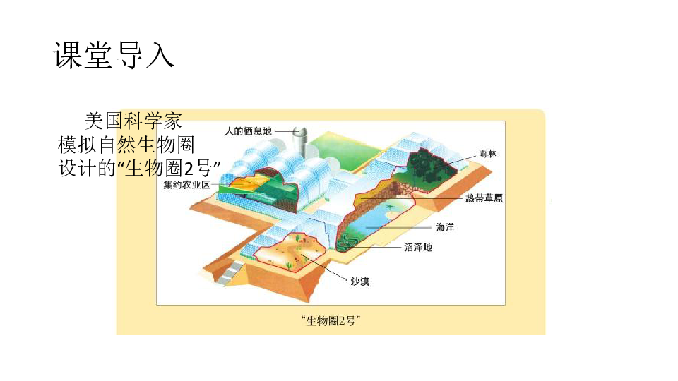 北师大版八年级生物下册第8单元23.4  生态系统的稳定性课件(共27张PPT)