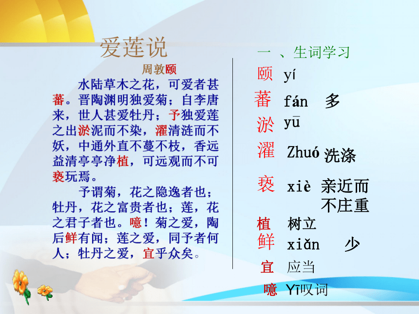 语文八年级上鄂教版6.18《爱莲说》复习课件（43张）