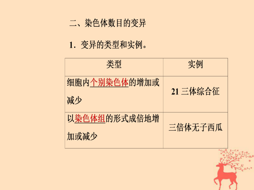 2018年秋高中生物新人教版必修2第五章基因突变及其他变异第2节染色体变异课件(89张PPT)