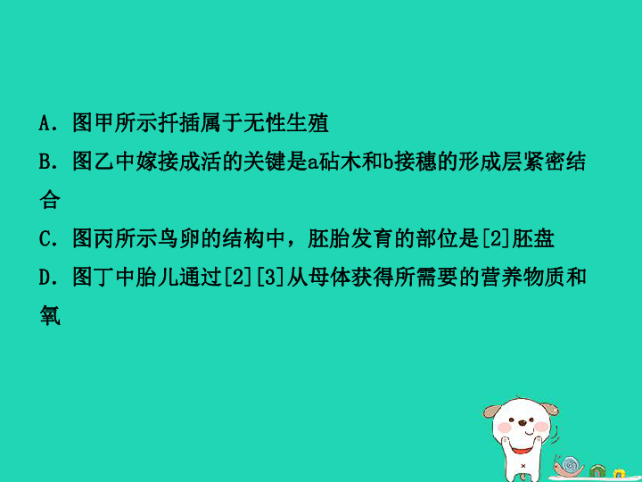 （东营专版）2019年中考生物专题八生物的生殖、发育与遗传复习课件（18张PPT）