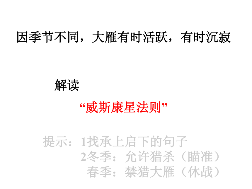 大雁归来课件 (共24张PPT)