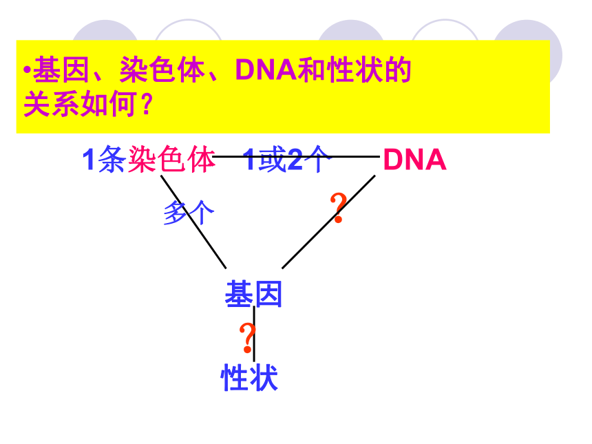 高中生物人教版必修二课件-3.4 基因是有遗传效应的DNA片 （共17张PPT）