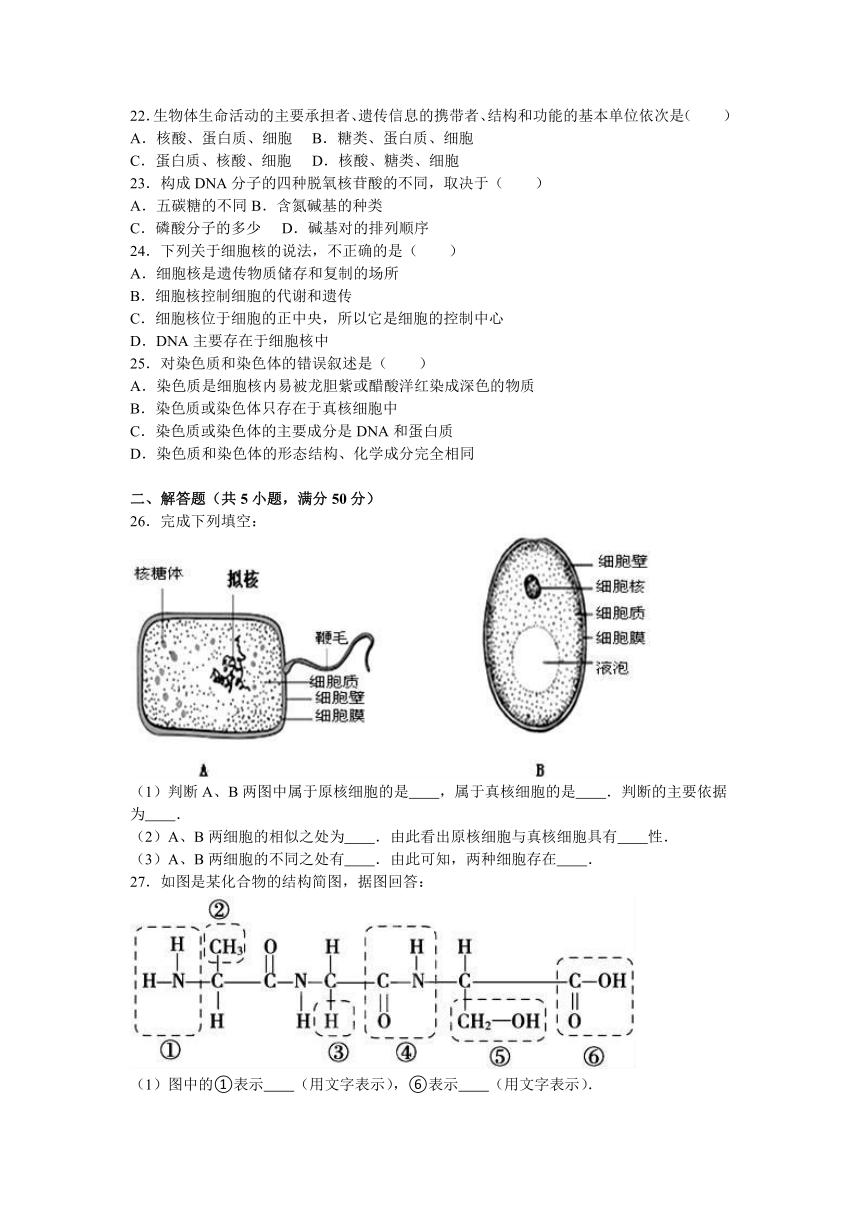 陕西省延安市志丹高中2016-2017学年高一（上）期中生物试卷（解析版）