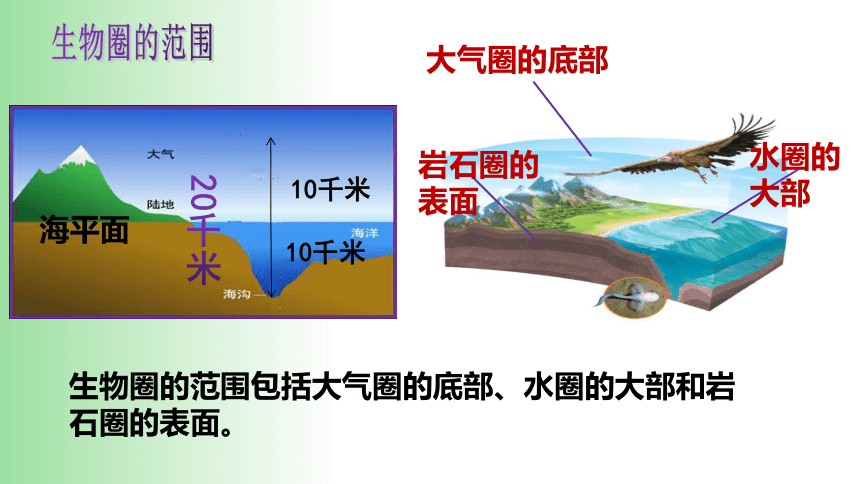 2021——2022学年人教版七年级生物上册1.2.3 生物圈是最大的生态系统 课件（21张PPT）