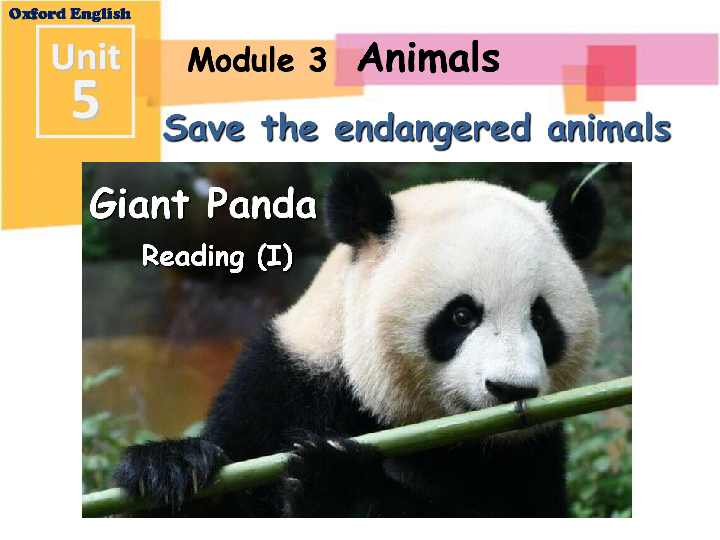 Module3 Animals Unit 5 Save the pandas ---Reading 教学课件 (共23张PPT)