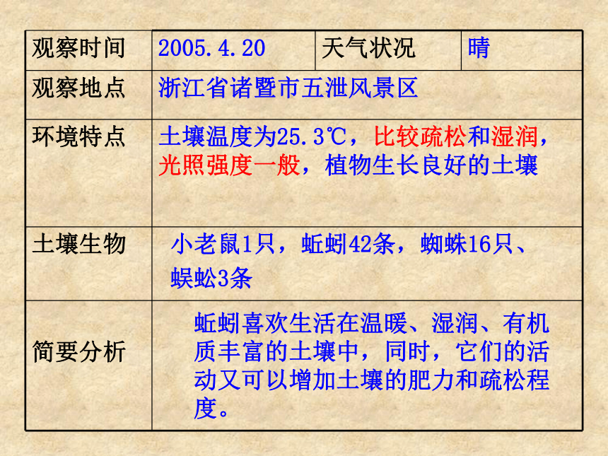 土壤中有什么 课件