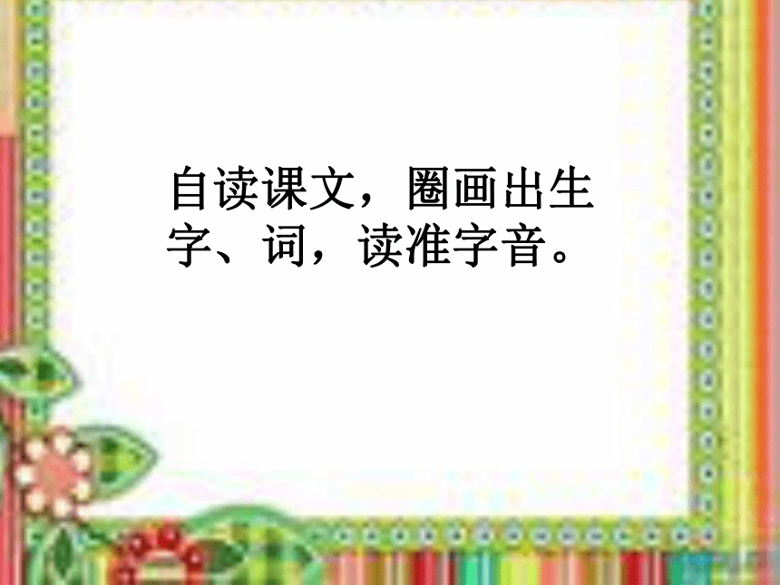 特殊的考试  课件