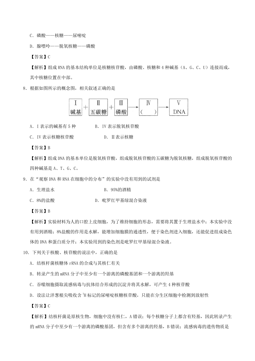 专题2.3遗传信息的携带者——核酸-课时同步2018-2019学年高一生物人教版必修1