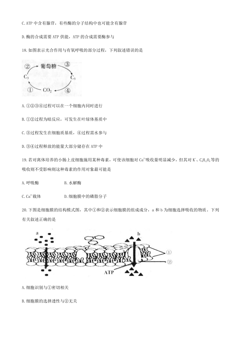 天津市部分区2020-2021学年高一上学期期末考试生物试题    含答案