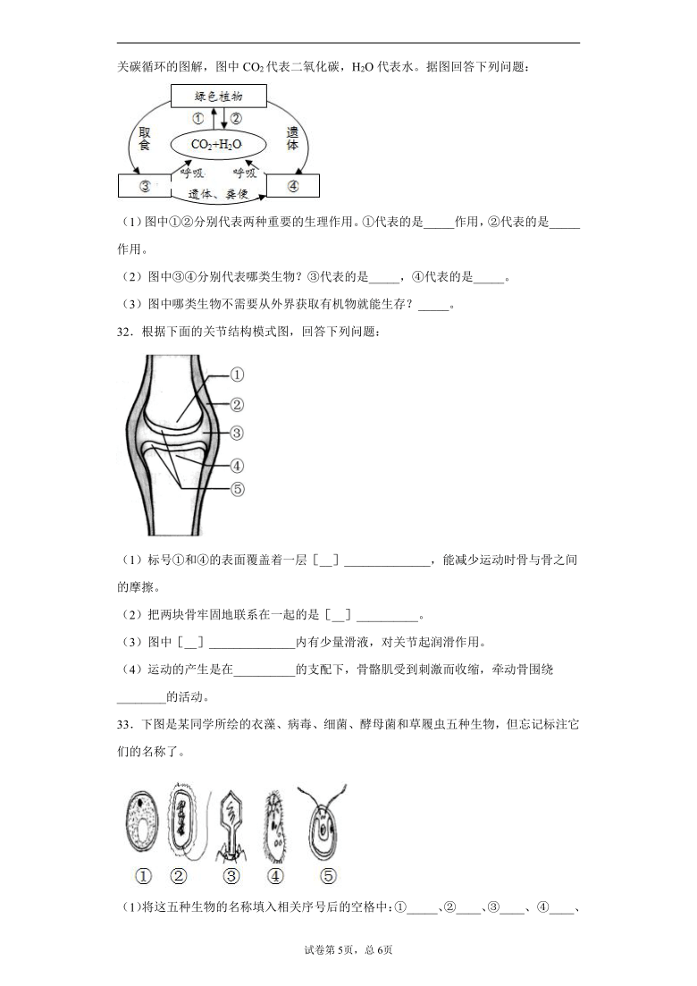 陕西省宝鸡市扶风县2020-2021学年八年级上学期期末生物试题（word版含解析）