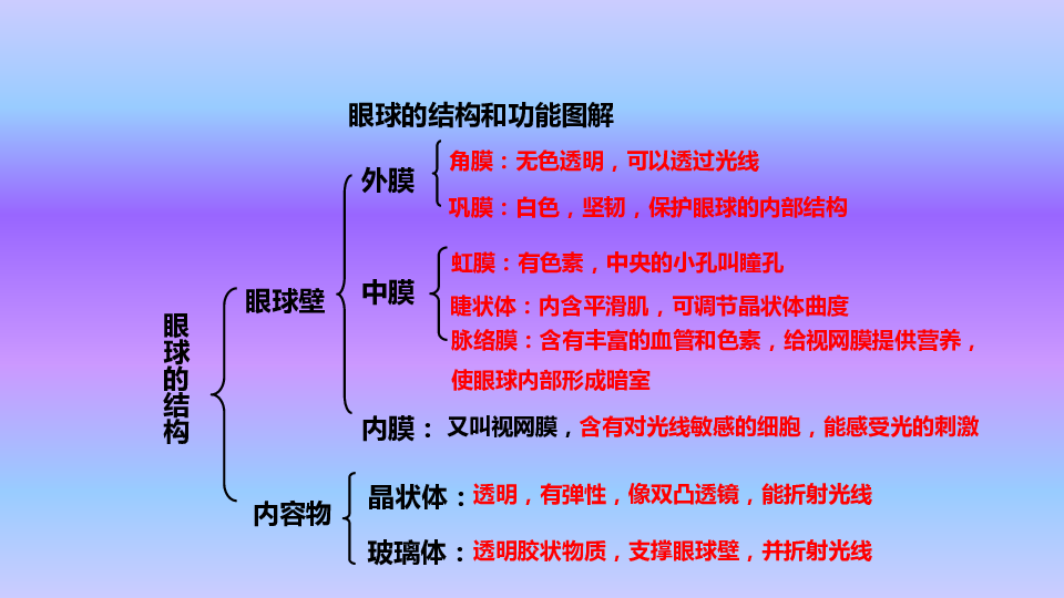 人教版七年级生物下册课件第六章第一节人体对外界环境的感知19张ppt