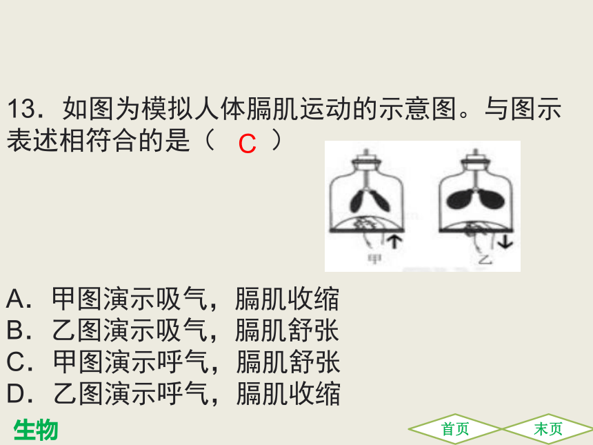 第三章 人体的呼吸 综合检测 课件（共21张PPT）