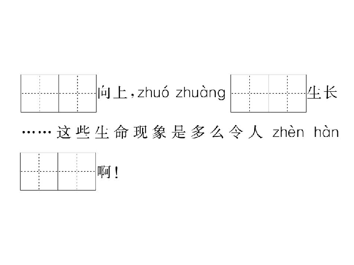 17.生命 生命  习题课件（18张PPT)