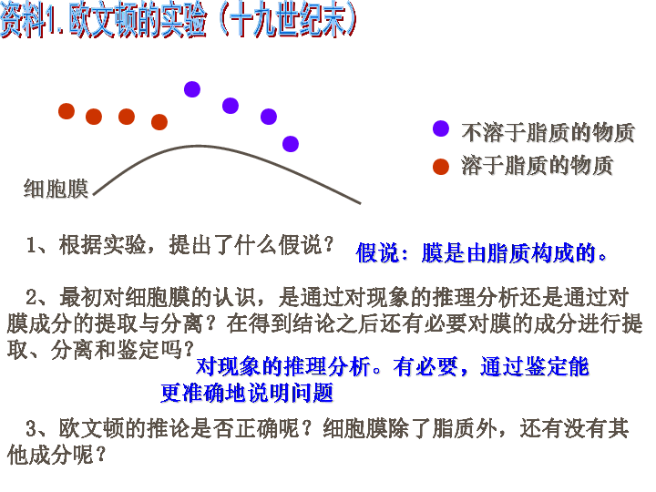 人教版生物必修1  4.2 生物膜的流动镶嵌模型（共24张ppt)