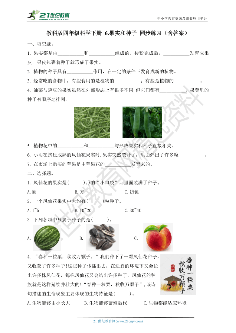 教科版四年级科学下册1.6 果实和种子 同步练习（含答案）