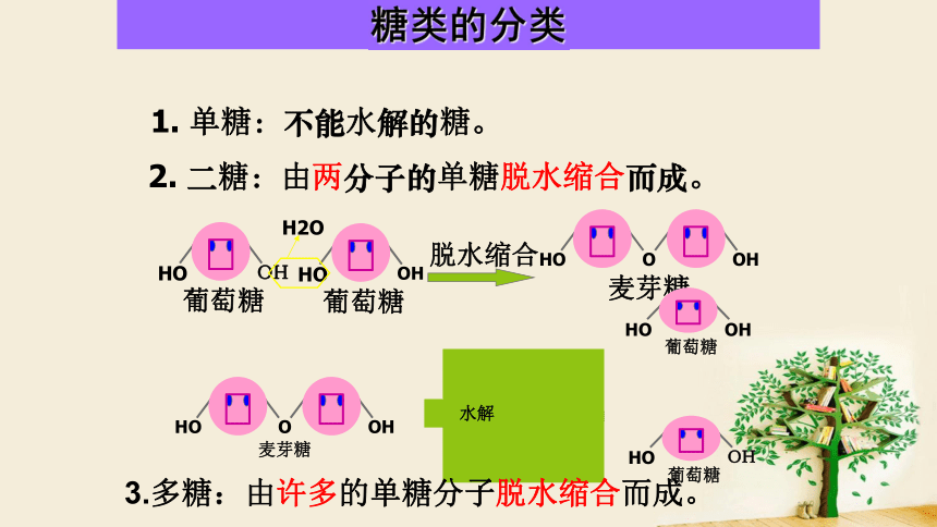 20212022學年高一上學期生物人教版必修一23細胞中的糖類和脂質課件48