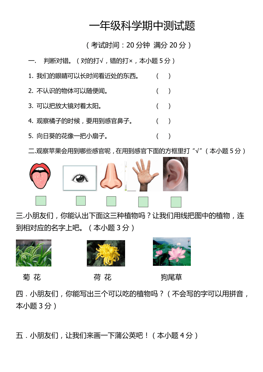 2017-2018学年一年级科学期中测试题（无答案）