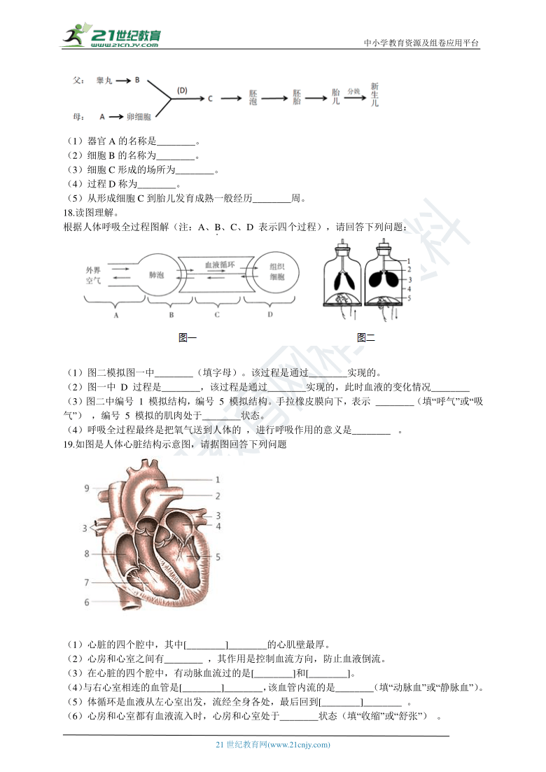 人教版2021七年级下册期中模拟测试卷（含解析）