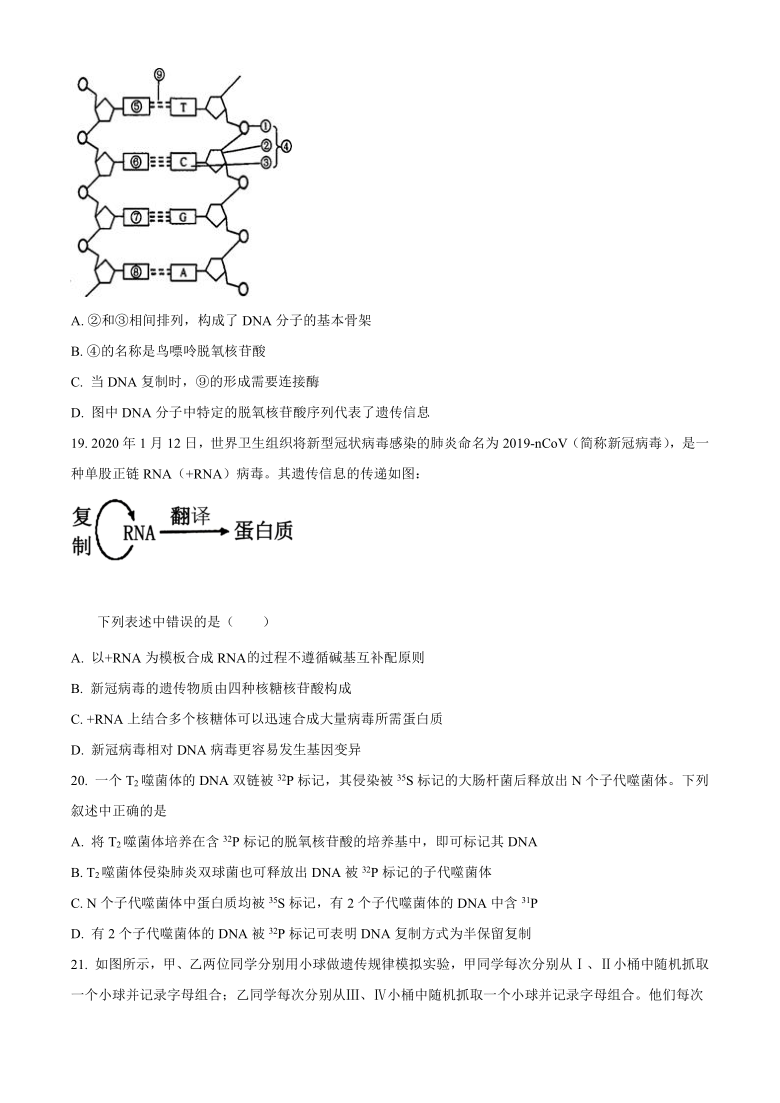 浙江省温州新力量联盟2020-2021学年高一下学期期中联考生物试题 Word版含答案