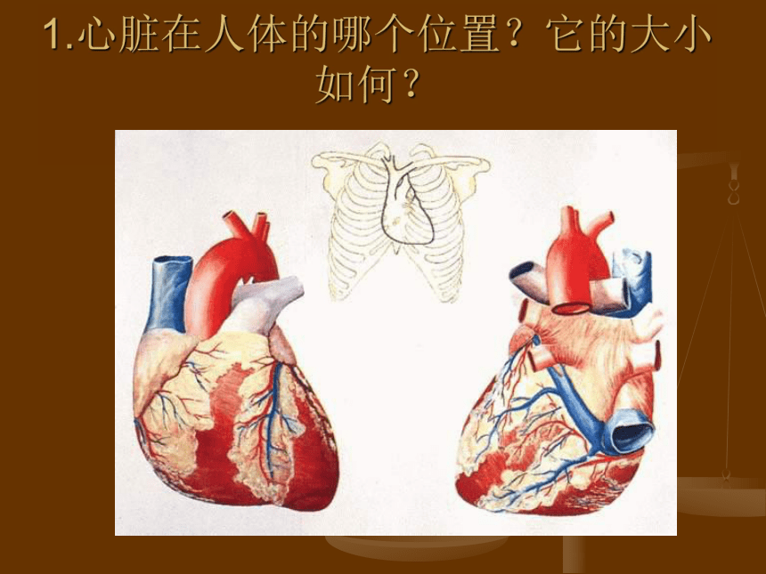 1.2心脏和血管 课件 (2)