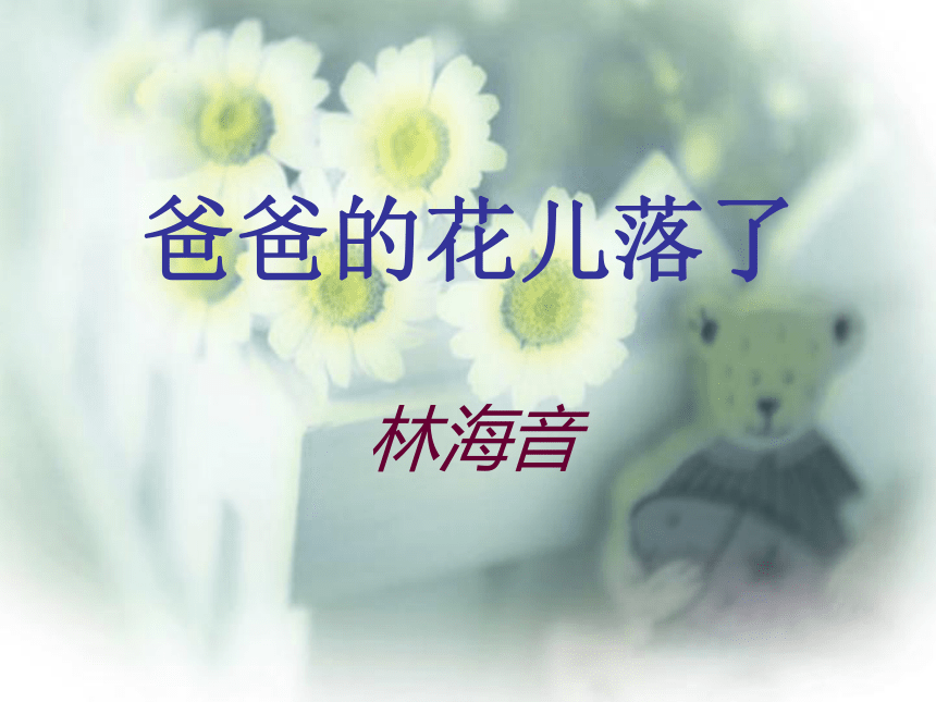 爸爸的花儿落了 课件