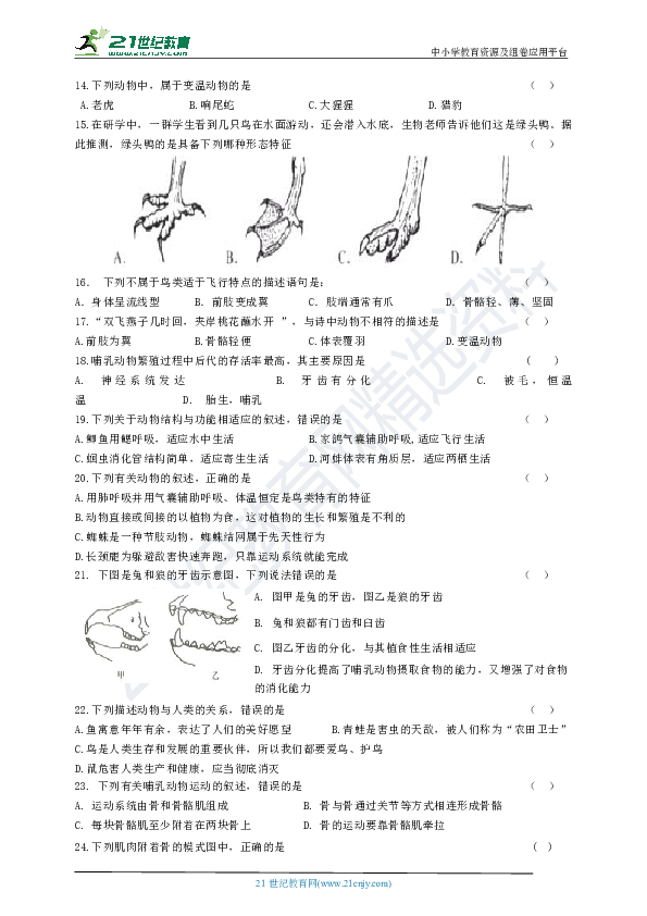 人教版初中生物中考题精选试题（六）生物圈中的其它生物（选择题部分.含答案）