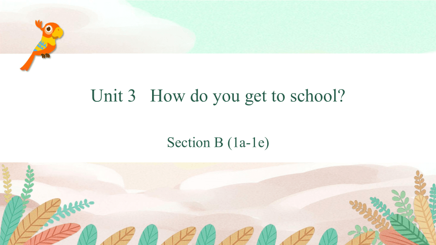 Unit 3 How do you get to school？Section B (1a-1e) 课件30张PPT+内嵌音频