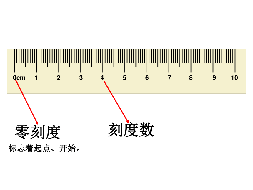 8厘米参照物图片