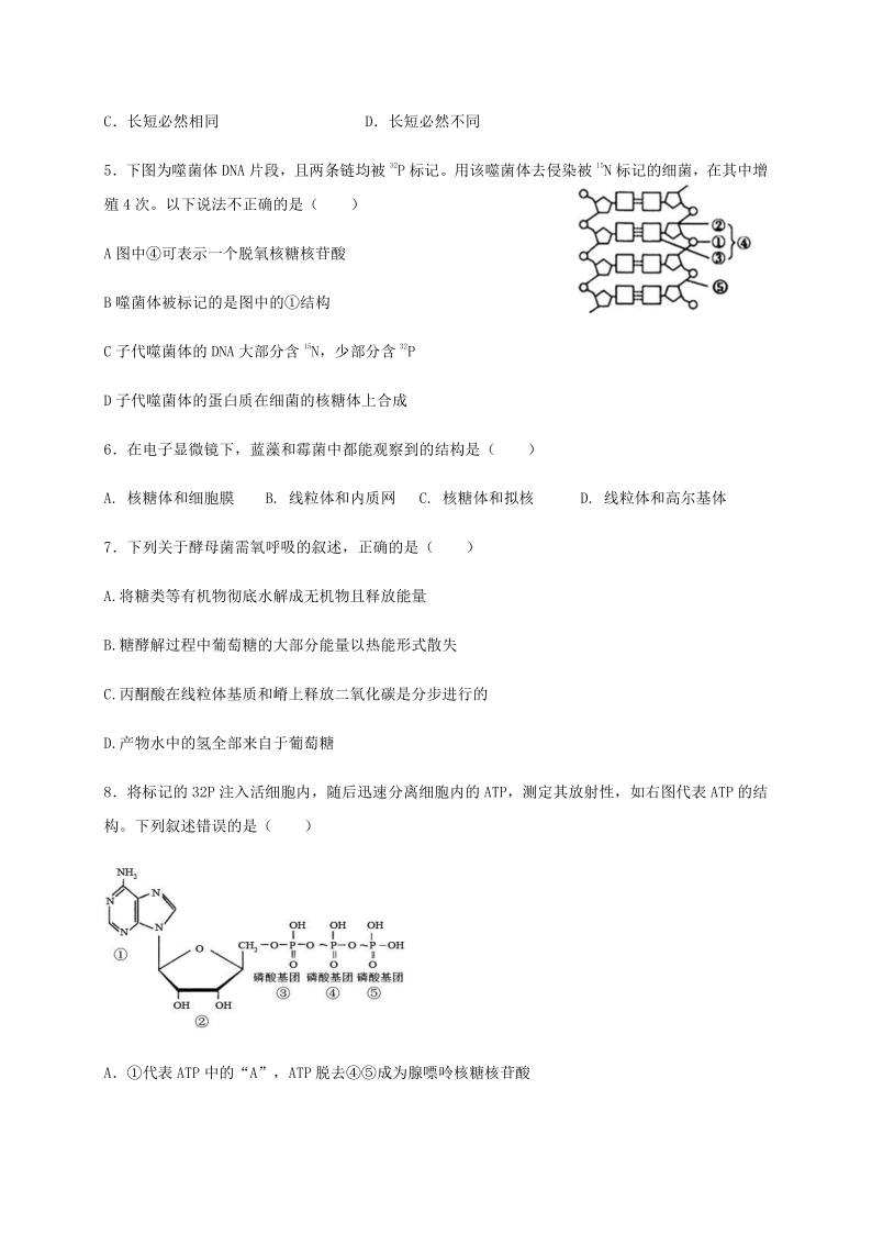 浙江省瑞安市新纪元高中2019-2020学年高二下学期期末考试生物试题