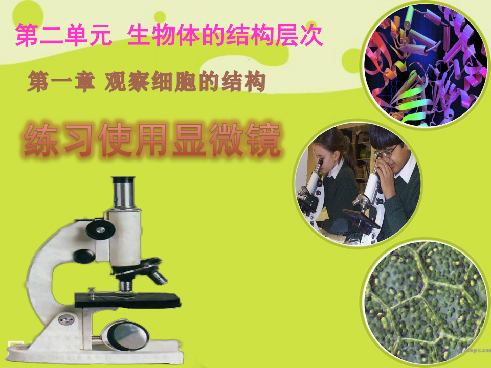 练习使用显微镜课件（26张ppt）