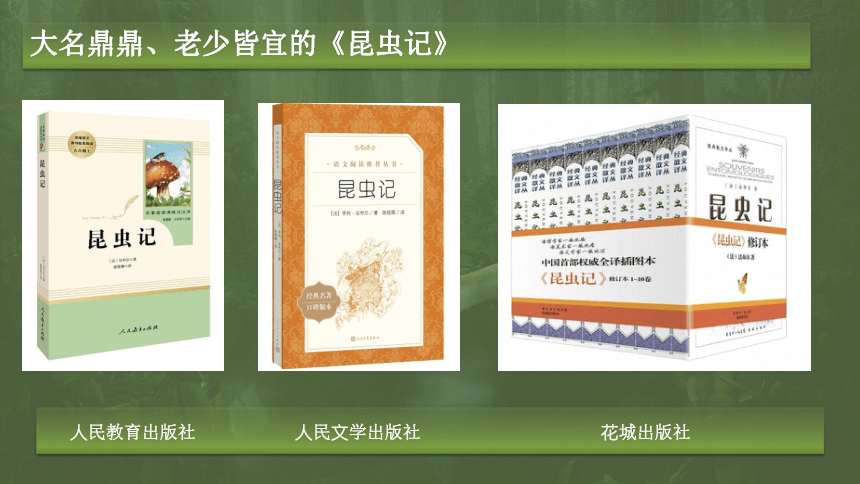 课件预览