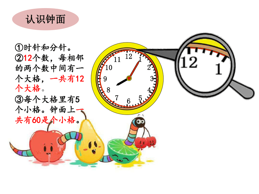 人教版二年級數學上冊7認識時間課件共13張ppt